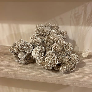 Desert rose XL