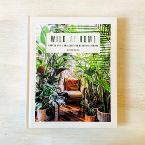 Wild At Home: How to Style and Care for Beautiful Plants