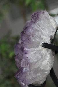 Amethyst Cluster on stand