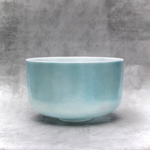 12” D#+10 Ocean Gold Crystal Tones Alchemy Singing Bowl (116721)