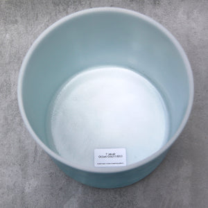 7" A#+40 Ocean Gold Crystal Tones Alchemy Singing Bowl (118213) SOLD