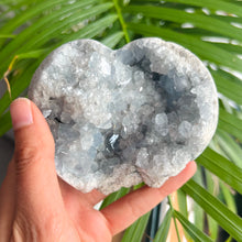 Load image into Gallery viewer, Celestite Heart Cluster
