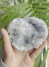 Load and play video in Gallery viewer, Celestite Heart Cluster
