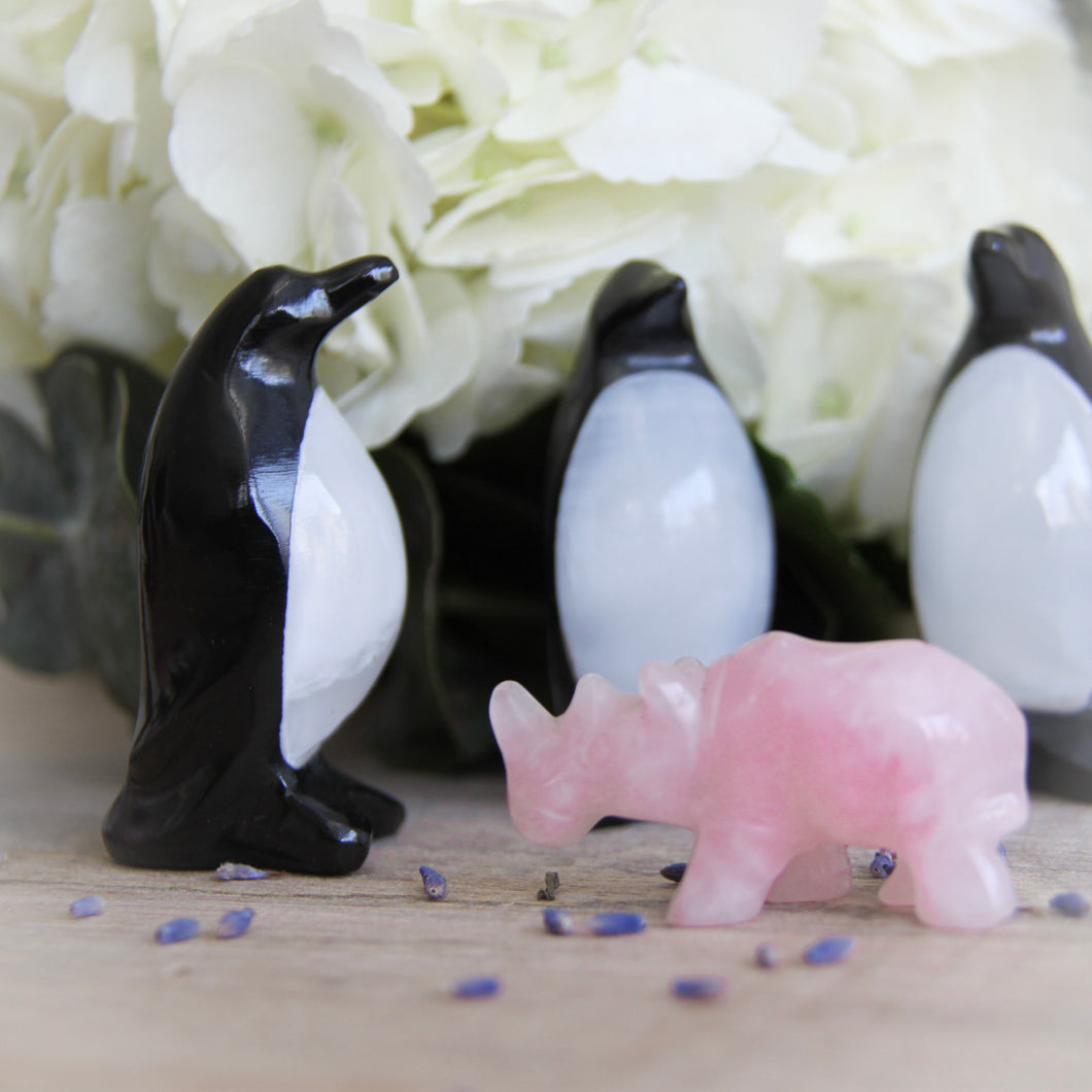 Onyx Penguin