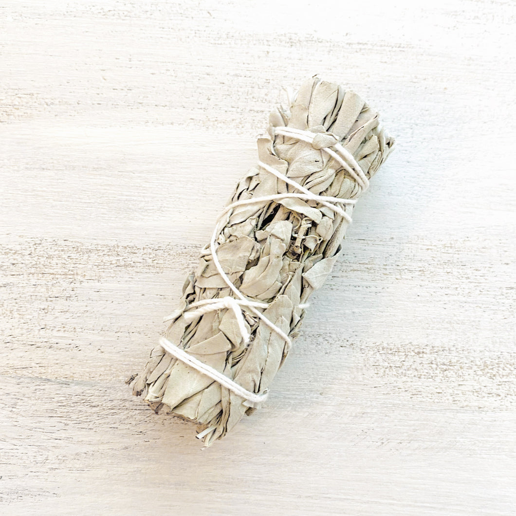 White Sage
