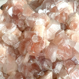 Apophyllite & Stilbite